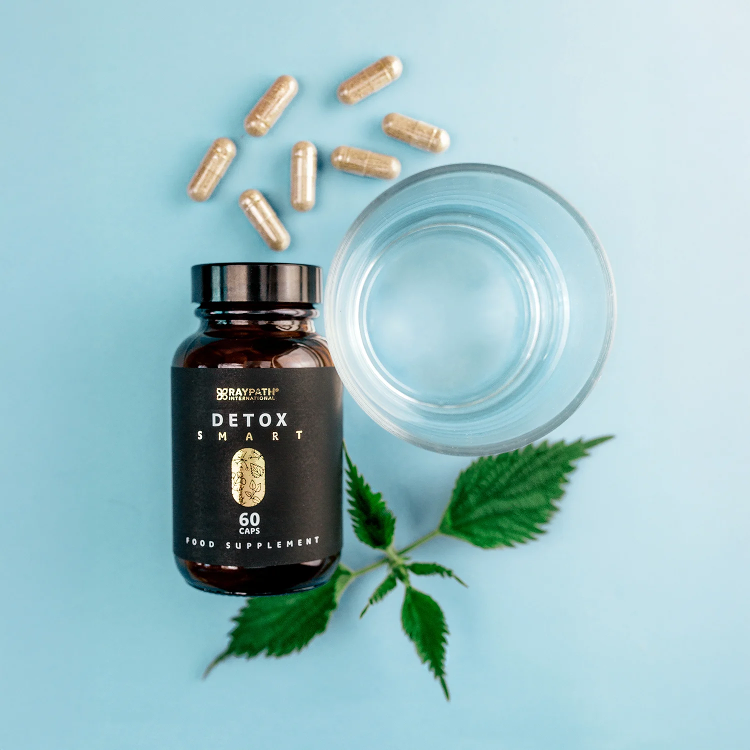 RAYPATH DETOX SMART