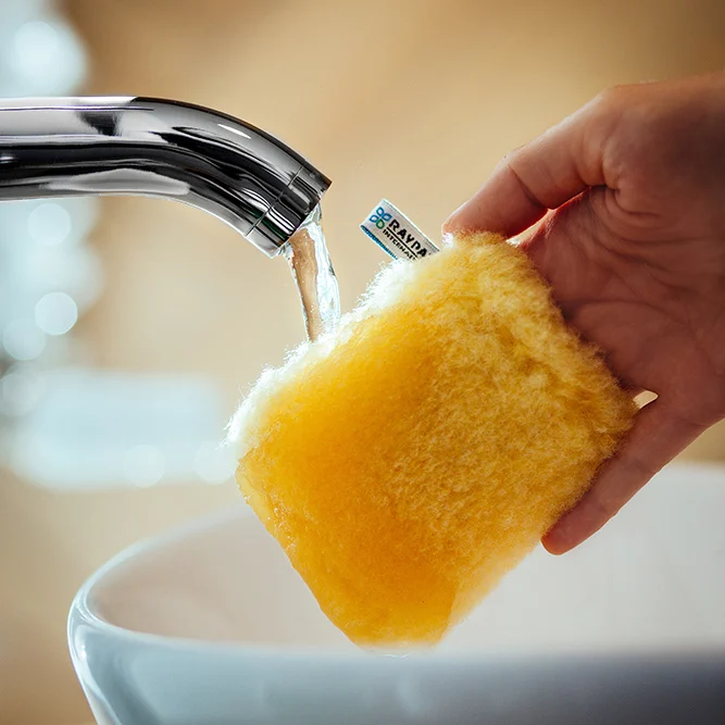 RAYPATH FACE CLEANER