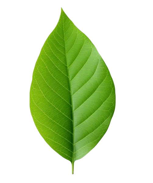 lisc